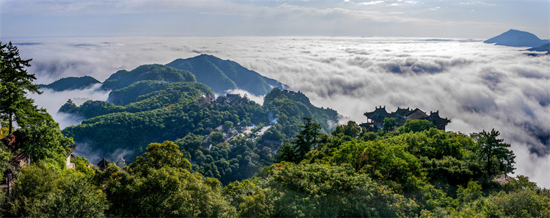 平凉多少个县市区